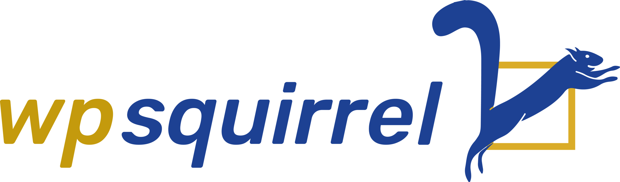 wpsquirrel-Logo